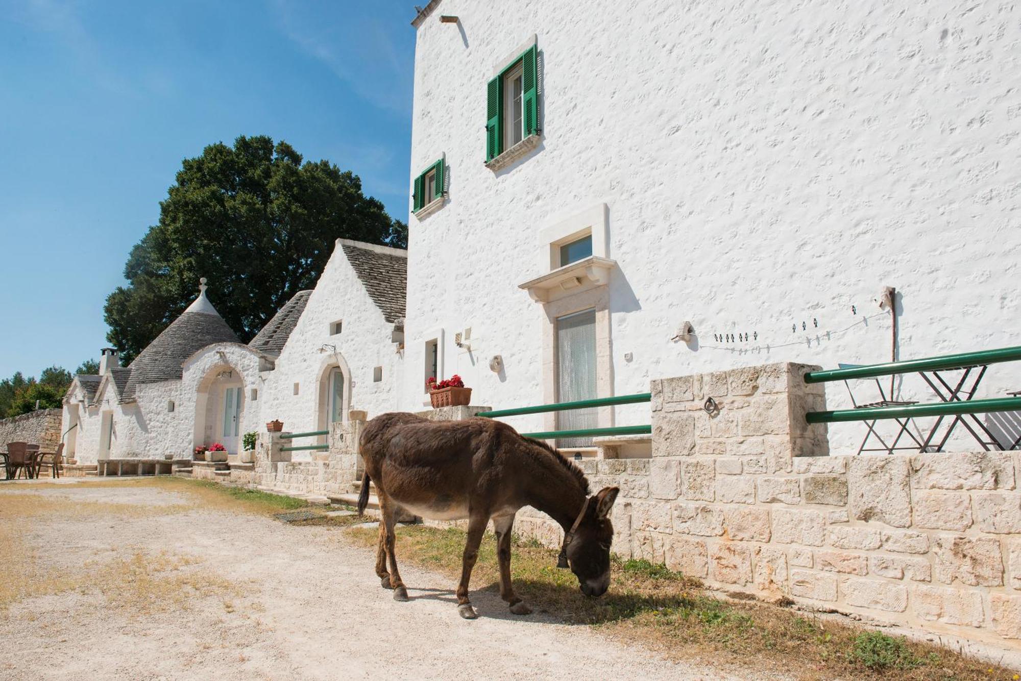 Agriturismo Masseria Aprile Locorotondo Exterior foto